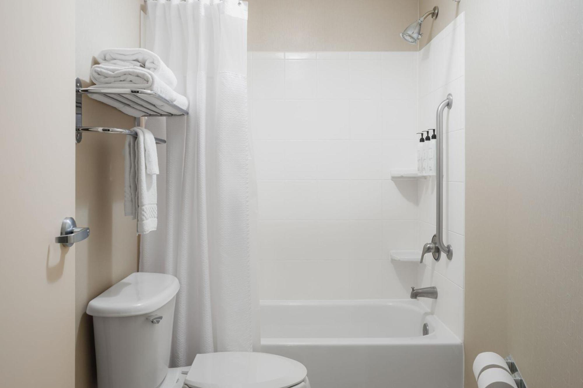 Springhill Suites Knoxville At Turkey Creek מראה חיצוני תמונה
